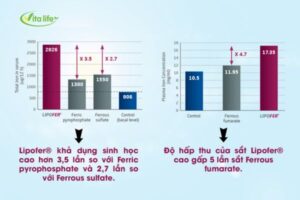 khả năng hấp thu vượt trội sắt lipofer